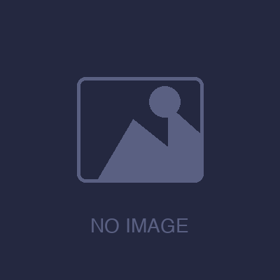 VISTAS　デリシャスプロテイン(700g) ブルーベリー風味