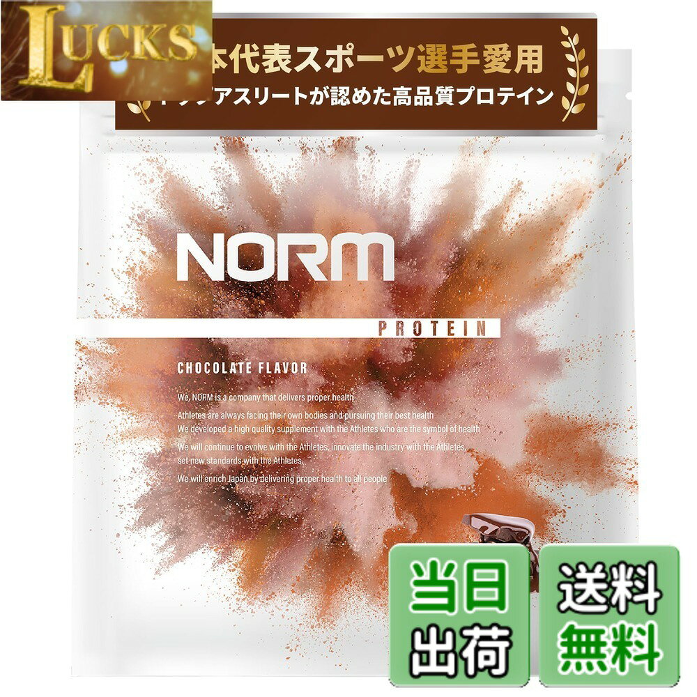 【送料無料】NORM ノーム ホエイ プロテイン 人工甘味料不使用 チョコレート 1kg 300名以上のトップアスリート愛用 WPC WHEY PROTEIN ホエイプロテイン 国内製造