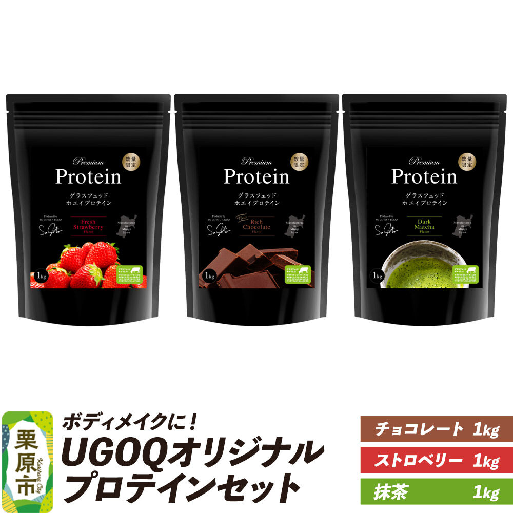 【ふるさと納税】プロテイン ボディメイクに！ UGOQオリジナルプロテインセット 1kg×3個(3種各1個) [オリジナル プロテイン セット シェイプアップ 本格 美容 健康 体験 宮城県 栗原市 UGOQ]