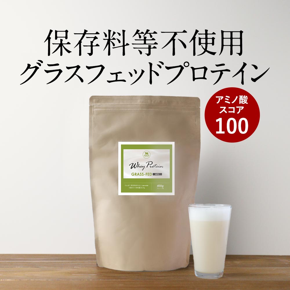 ホエイプロテイン 保存料 無添加 プレーン プロテイン 無糖 甘味料無添加 (400g) お試し 初心者 女性 美容 グラスフェッド プロテイン WPCプロテイン アミノ酸スコア100 置き換え ダイエット 女性 送料無料