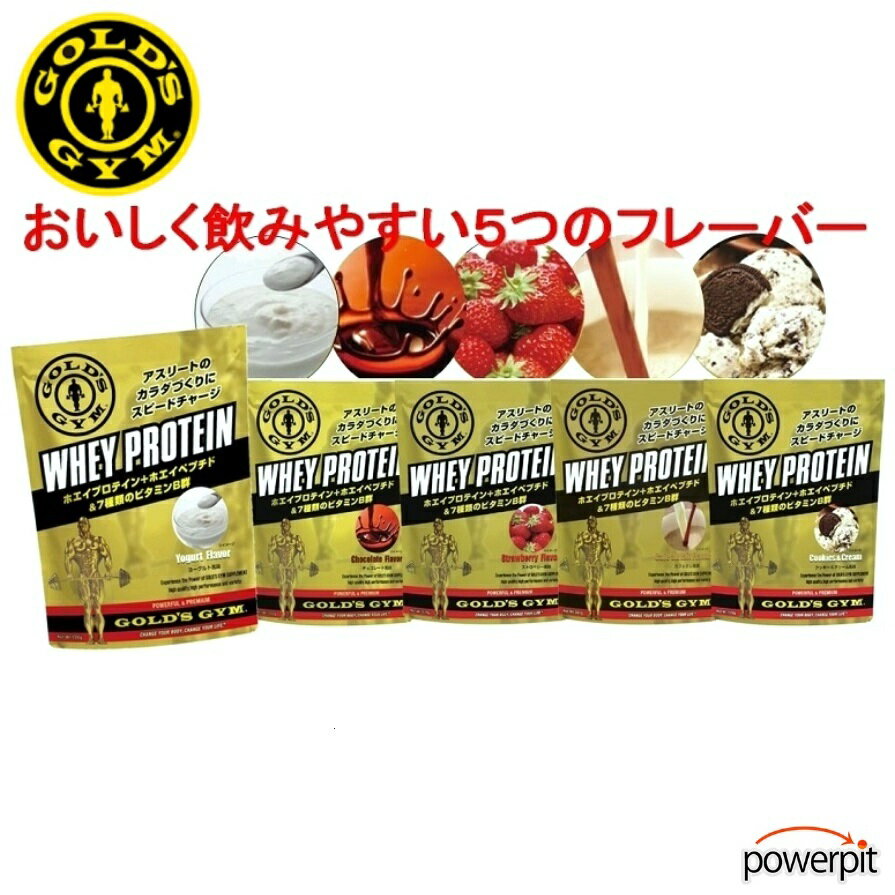 スーパーSALE ゴールドジム ホエイプロテイン 360g×2 セット 720g分 ホエイペプチド 乳清 動物性たんぱく質 筋トレ 筋力トレーニング 筋肉 アミノペプチド WheyProteinPowder WheyPeptide AminoPeptide GoldGym