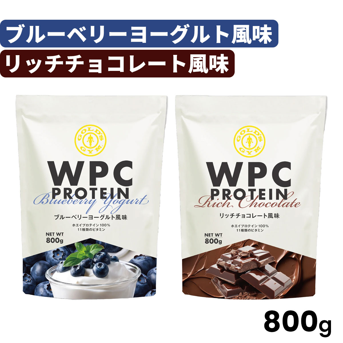 【スーパーSALE期間中P10倍★6/4 20:00〜6/11 1:59まで】＼送料無料／ゴールドジム GOLD'S GYM GGP WPCプロテイン ホエイプロテイン トレーニング ダイエット 置き換え 栄養補給 たんぱく質 ビタミン リッチチョコレート ブルーベリーヨーグルト F5700 F5710 800g 018