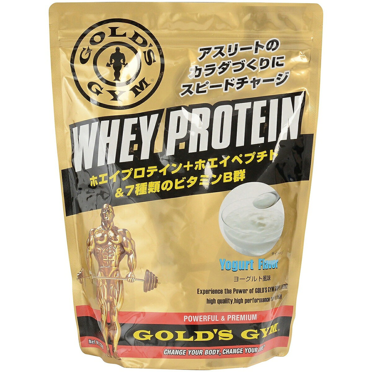 【P10倍(上限有)★要エントリー★SS限定】 ゴールドジム (GOLD'S GYM) ホエイプロテイン+ホエイペプチド ヨーグルト風味 720g サプリメント プロテイン F5372