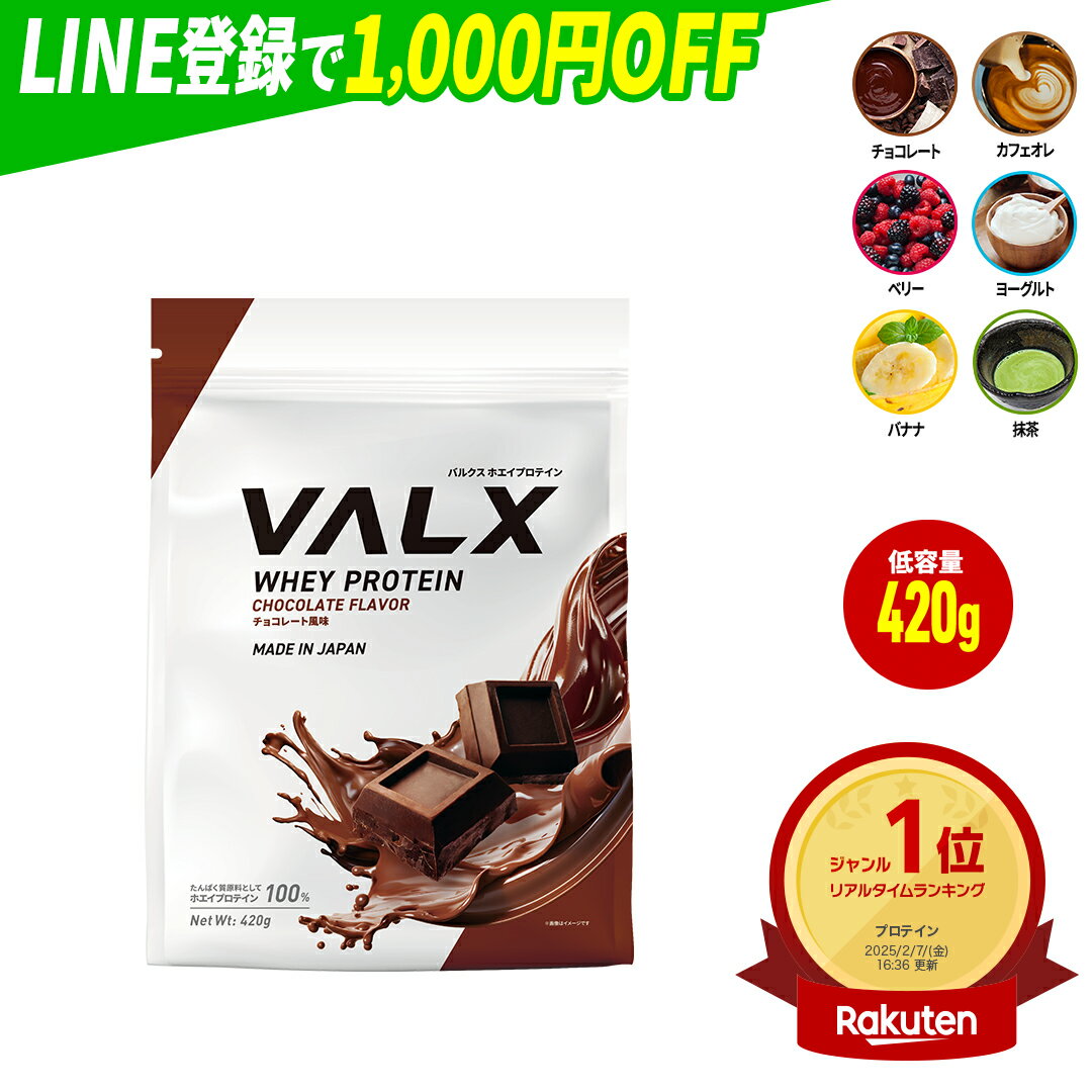[LINE登録で1,000円OFF] [お試しサイズ] VALX ホエイプロテイン WPC 420g 選べる6種フレーバー 国内生産 山本義徳 チョコレート ベリー ヨーグルト カフェオレ バナナ 抹茶 プロテイン タンパク質 筋トレ ダイエット