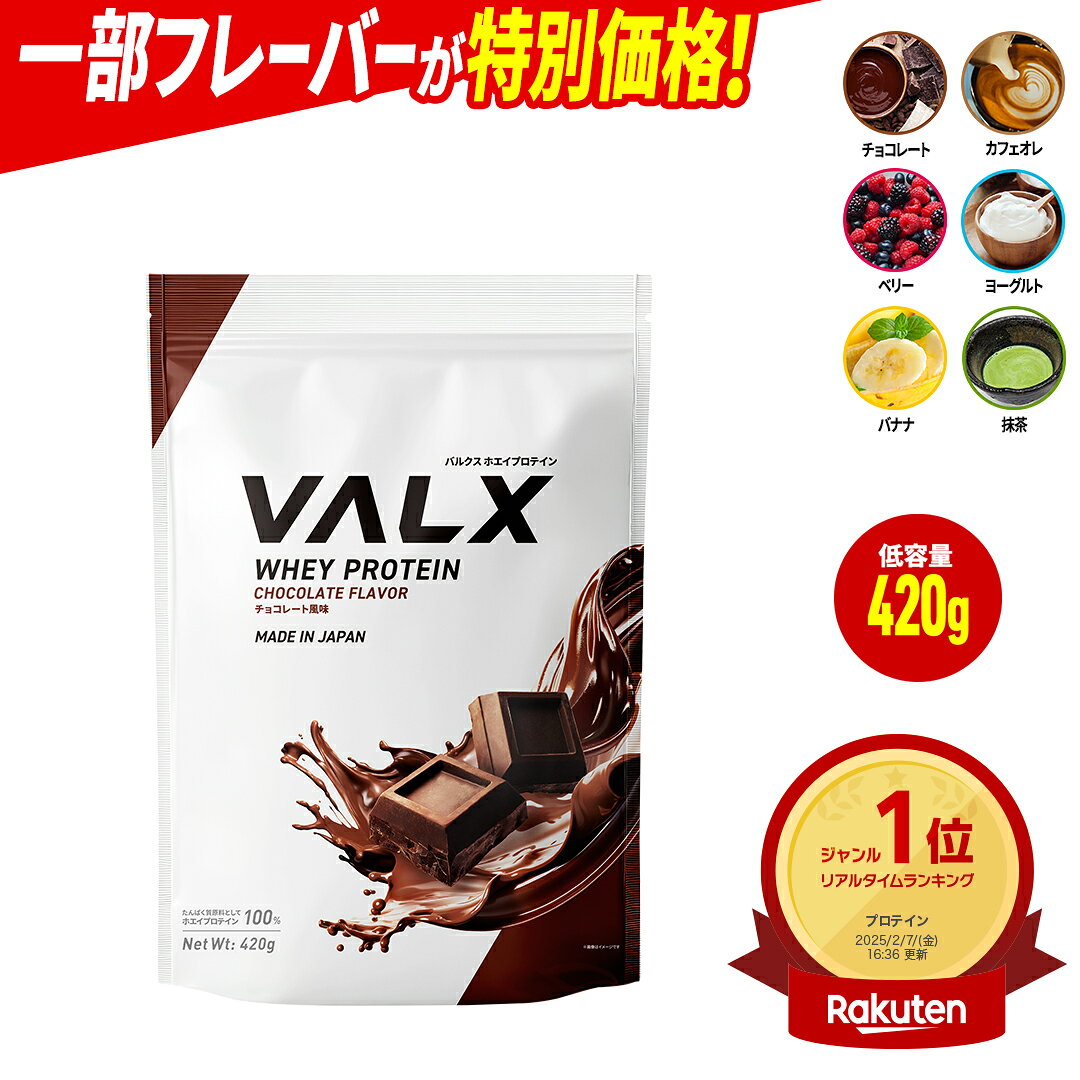 [LINE登録で1,000円OFF] [お試しサイズ] VALX ホエイプロテイン WPC 420g 選べる6種フレーバー 国内生産 山本義徳 チョコレート ベリー ヨーグルト カフェオレ バナナ 抹茶 プロテイン タンパク質 筋トレ ダイエット